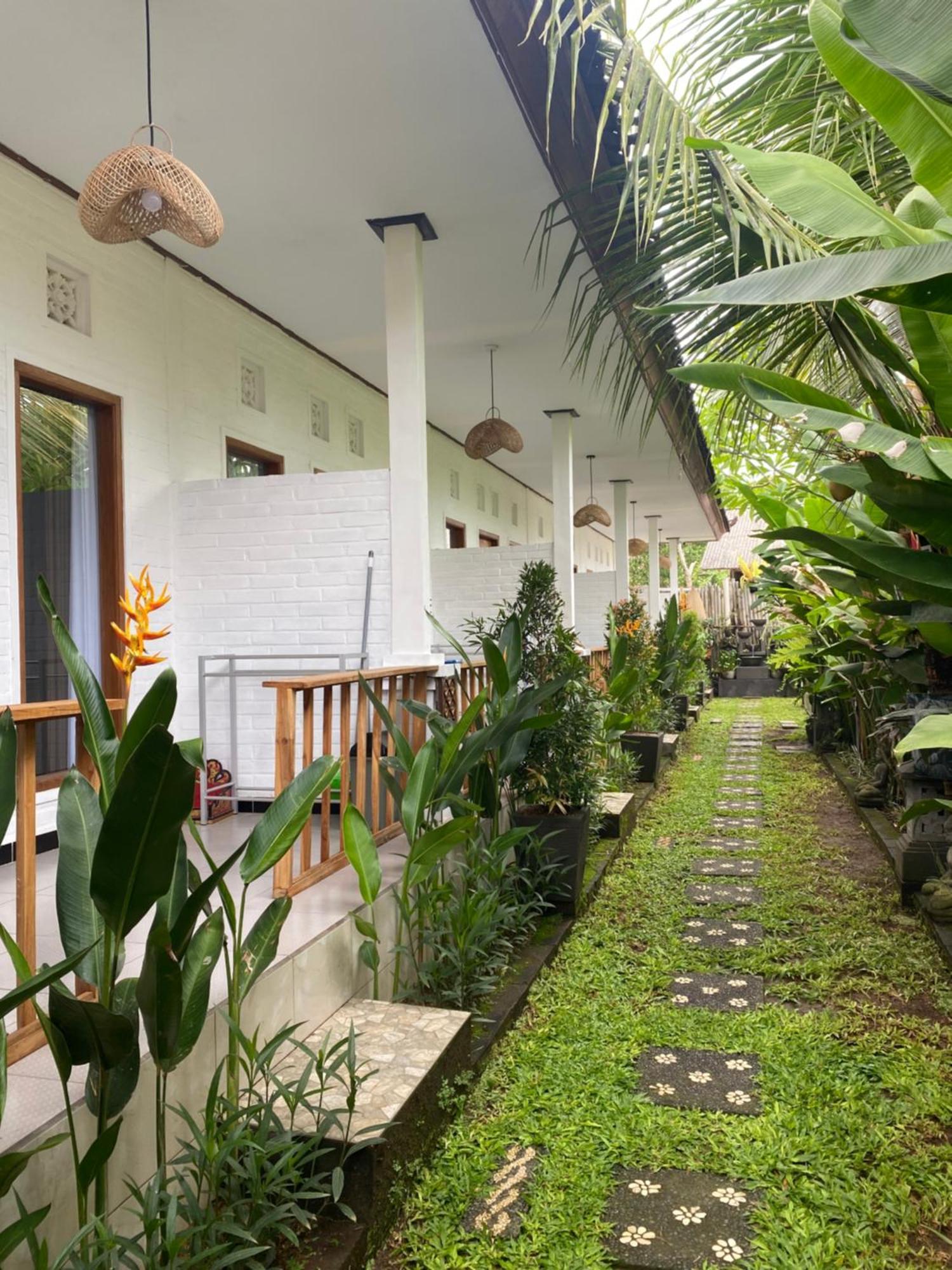Blue Waves Balangan Homestay أُلُواتو المظهر الخارجي الصورة